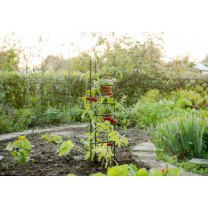 Plantensteun driehoek groen