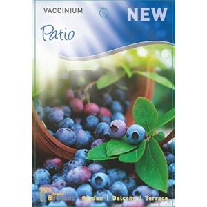 Bosbes (vaccinium corymbosum “Patio”) fruitplanten