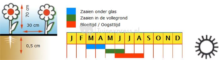 Akelei langgespoorde bloemzaden - McKana Giant Hybrids