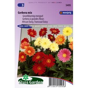 Grootbloemig mengsel bloemzaden - Gerbera Mix