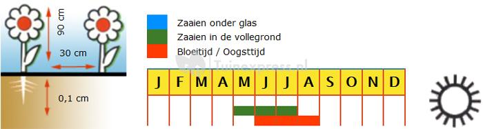 Reuzenklaproos bloemzaden – Oosterse klaproos