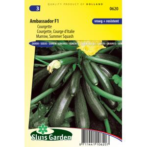 Courgette zaden - Ambassador F1